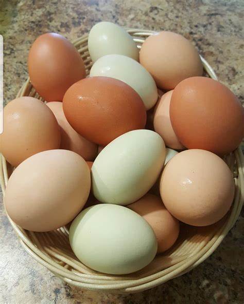 Eggs - Farm Fresh! | Lonesome Heritage Farms -Where the Happiest ...